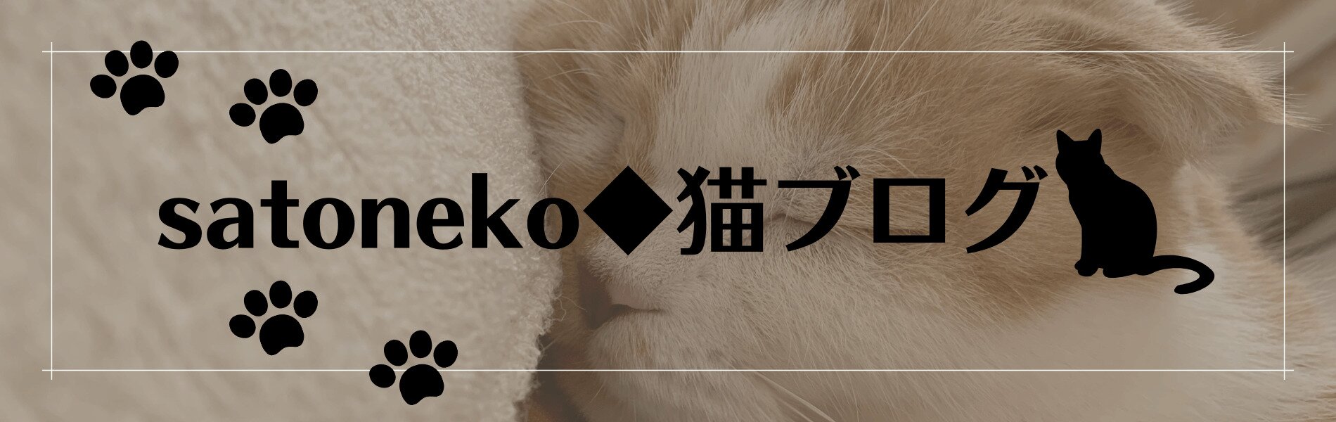 satoneko◆猫ブログ